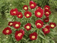 IMG_20130607_155945.jpg