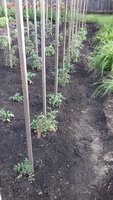 20170609_174653.jpg
