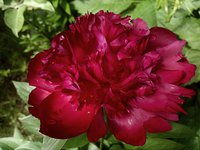 IMG_20130607_184053.jpg