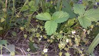 20170529_184451.jpg