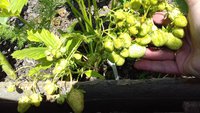 20170528_103605.jpg