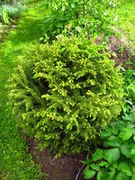 IMG_3210.JPG