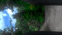 P_20170610_112400_HDR.jpg