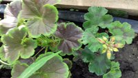 20170609_174510.jpg