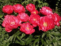 IMG_20130608_161111.jpg