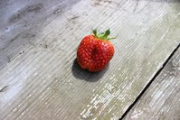 IMG_7903.jpg