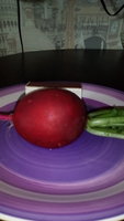 IMG_20170618_153325.jpg