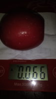 IMG_20170618_153427.jpg