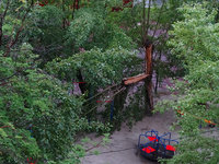 copDSC07406.jpg