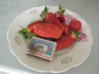 DSCN2009.JPG