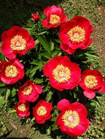 IMG_20130608_193229.jpg