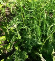 20170618_154756.jpg