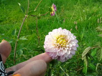 2012-07-11 17.11.12.jpg