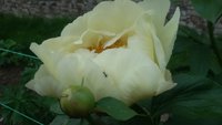 20170618_155157.jpg