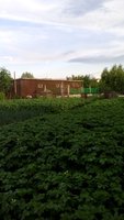 IMG_20170619_193206-min.jpg