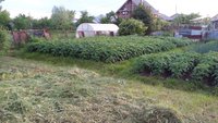 IMG_20170619_193326-min.jpg