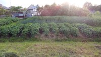 IMG_20170619_193332-min.jpg