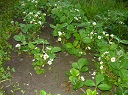P1020259.JPG