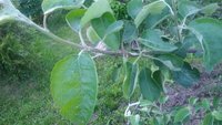 20170618_201353.jpg