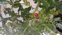 20170620_192947.jpg