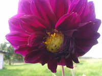 2012-07-11 17.10.58.jpg