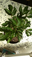 2013-06-09-505.jpg