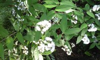 20170621_193854.jpg