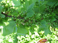 IMG_5697.JPG