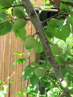 IMG_0058.JPG