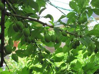 IMG_0062.JPG