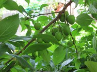 IMG_0063.JPG