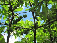 IMG_0064.JPG