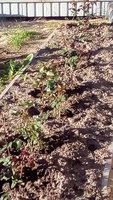 IMG_20170622_184201.jpg