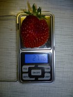 кокинская заря23.06. аJPG.jpg