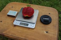 IMG_8001.jpg