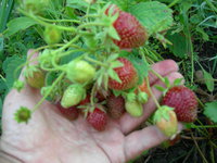 DSCN1056.JPG