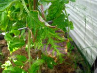 IMG_3252.JPG