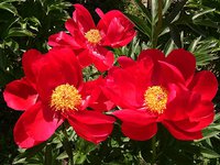IMG_20130609_134227.jpg