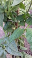 20170624_202044.jpg