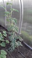 20170624_202128.jpg