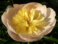 IMG_20130609_190457.jpg