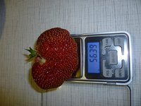 Соловушка 27,06,2017г..jpg
