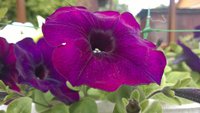 WP_20170626_018.jpg