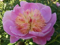 IMG_20130609_190706.jpg