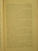IMG_1675-2.jpg