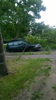 WP_20160713_010.jpg