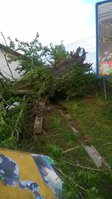 WP_20160714_003.jpg