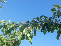 IMG_4338.JPG