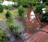 IMG_6720.JPG