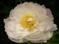 IMG_20130610_150849.jpg
